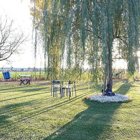 Bed and Breakfast Via Punta 8