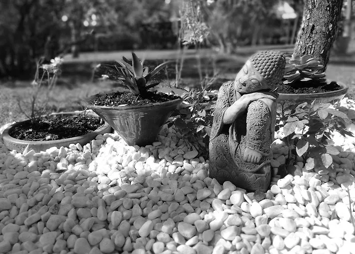 Panzió Via Punta 8 3*