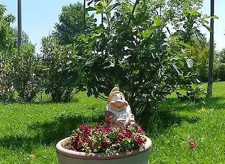 Bed & Breakfast Via Punta 8 Bologna