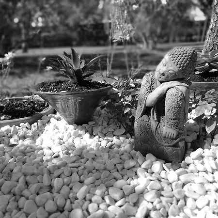 Bed & Breakfast Via Punta 8 *