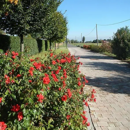 Via Punta 8