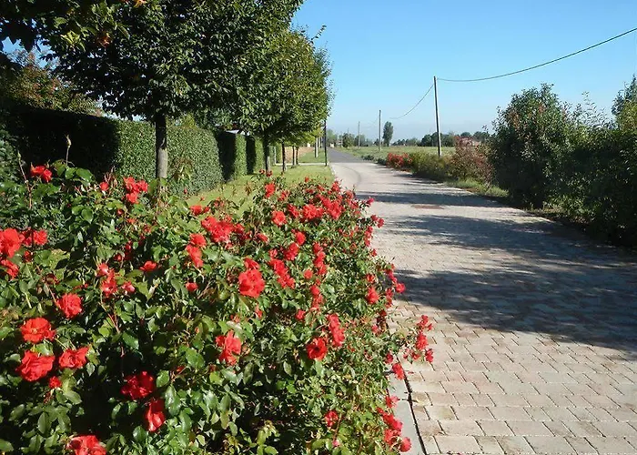 Via Punta 8